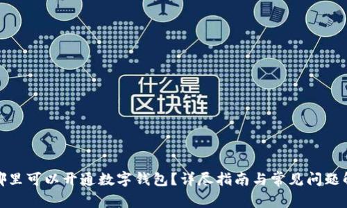 在哪里可以开通数字钱包？详尽指南与常见问题解答