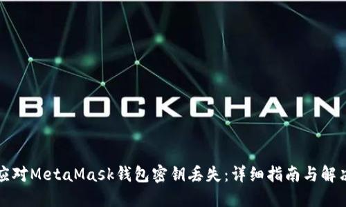 如何应对MetaMask钱包密钥丢失：详细指南与解决方案