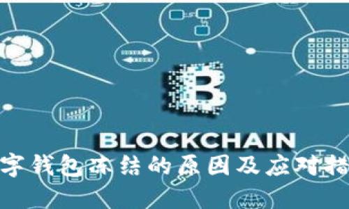 数字钱包冻结的原因及应对措施