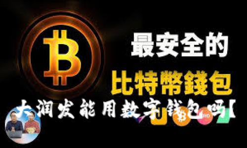 大润发能用数字钱包吗？
