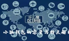 : 小狐钱包的容量与特点解