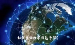 如何查询数字钱包号码？