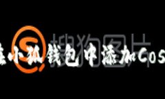 如何在小狐钱包中添加C