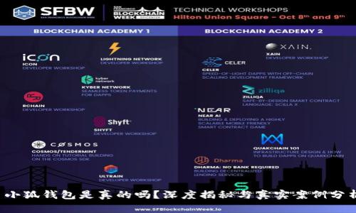  小狐钱包是真的吗？深度揭秘与真实案例分析