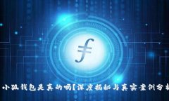  小狐钱包是真的吗？深度