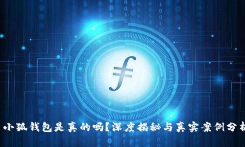 小狐钱包是真的吗？深度揭秘与真实案例分析