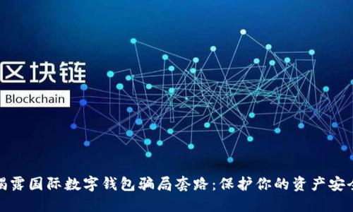 揭露国际数字钱包骗局套路：保护你的资产安全