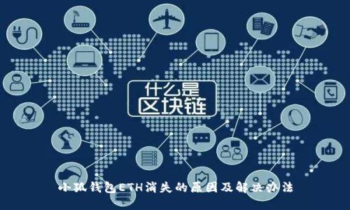 小狐钱包ETH消失的原因及解决办法
