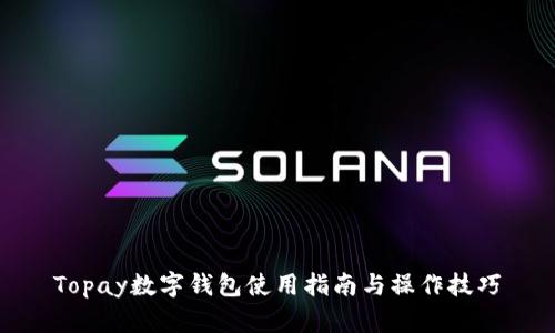 Topay数字钱包使用指南与操作技巧