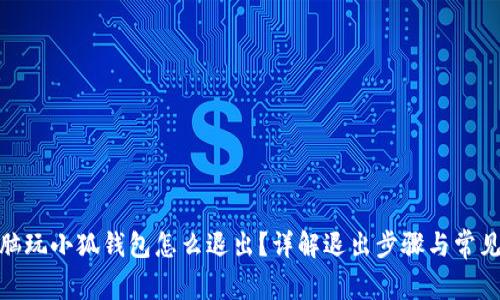 : 电脑玩小狐钱包怎么退出？详解退出步骤与常见问题