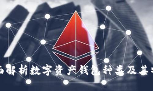全面解析数字资产钱包种类及其特点
