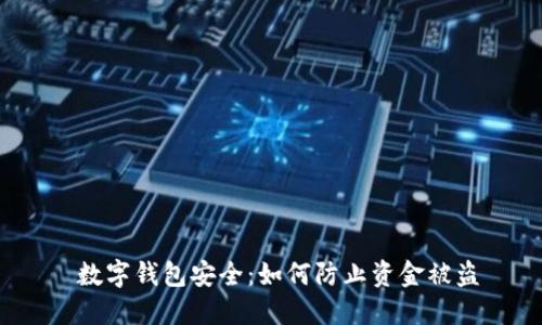  数字钱包安全：如何防止资金被盗