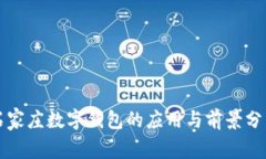 石家庄数字钱包的应用与