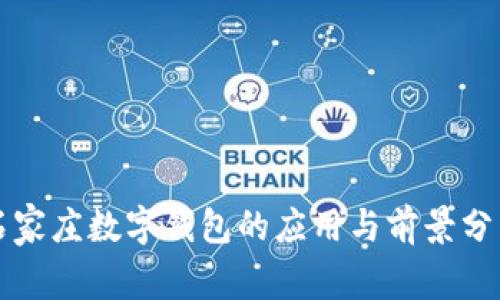 石家庄数字钱包的应用与前景分析