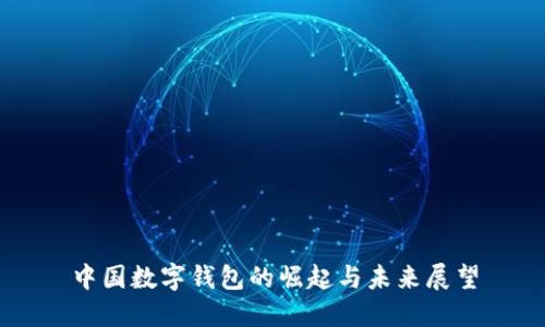 中国数字钱包的崛起与未来展望