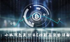 : 小狐钱包是什么？功能与