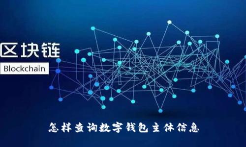 怎样查询数字钱包主体信息