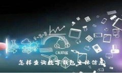 怎样查询数字钱包主体信