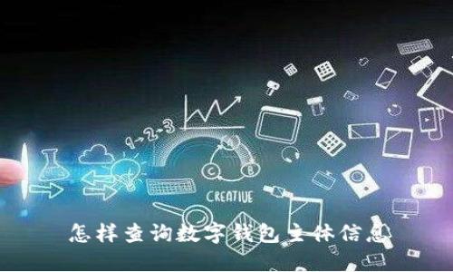 怎样查询数字钱包主体信息