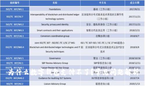 为什么数字钱包支付不了？常见问题解析