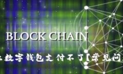 为什么数字钱包支付不了