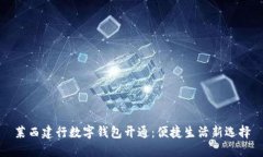 莱西建行数字钱包开通：