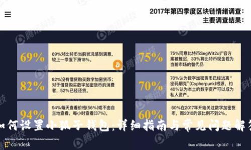 如何设置小狐子钱包：详细指南与常见问题解答
