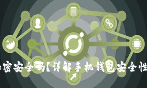 手机钱包加密安全吗？详解手机钱包安全性的方方面面