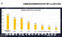   湖南数字钱包与财税业务