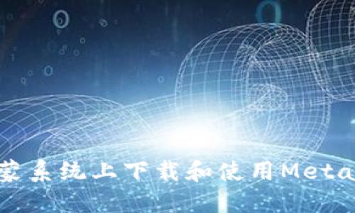如何在鸿蒙系统上下载和使用MetaMask钱包