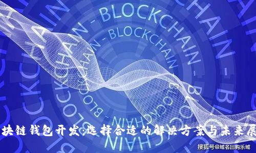 区块链钱包开发：选择合适的解决方案与未来展望