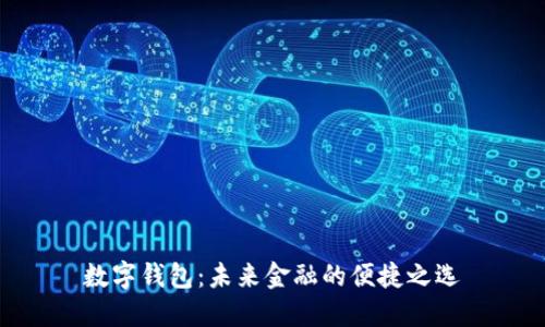 数字钱包：未来金融的便捷之选
