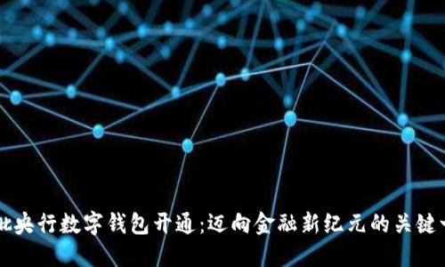 首批央行数字钱包开通：迈向金融新纪元的关键一步