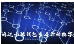 如何通过小狐钱包查看你