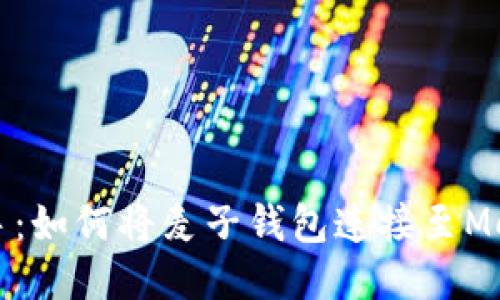 快速上手：如何将麦子钱包连接至MetaMask