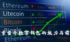 探索当今数字钱包的魅力