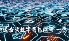 如何快速查询数字钱包编