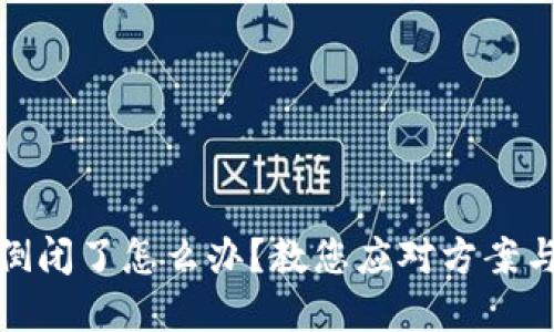 小狐钱包倒闭了怎么办？教您应对方案与投资建议