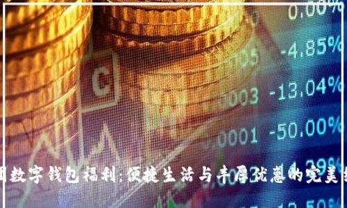 美团数字钱包福利：便捷生活与丰厚优惠的完美结合