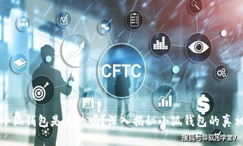 小狐钱包是真的吗？深入揭秘小狐钱包的真相