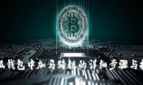小狐钱包中加马蹄链的详细步骤与技巧