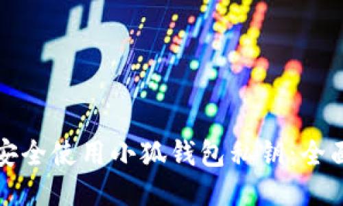 如何安全使用小狐钱包私钥：全面指南