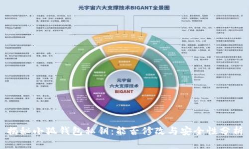 揭秘小狐钱包私钥：能否修改与安全性分析