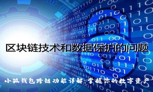 小狐钱包跨链功能详解：掌握你的数字资产
