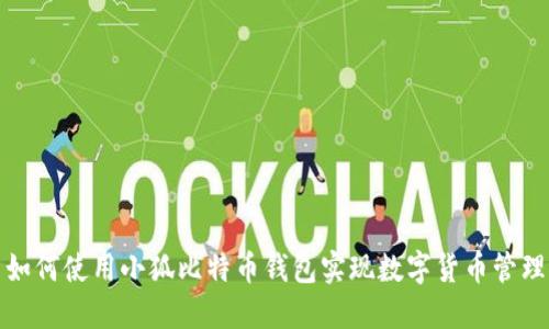 如何使用小狐比特币钱包实现数字货币管理