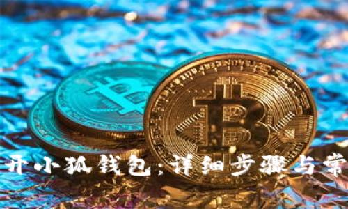 如何顺利打开小狐钱包：详细步骤与常见问题解答