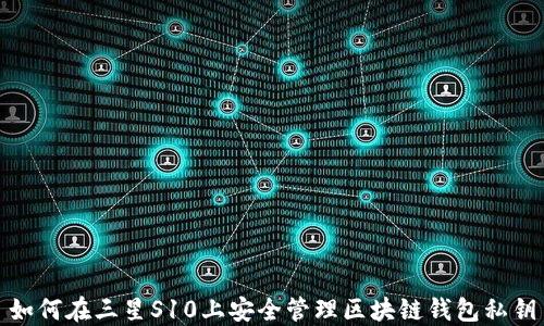 
如何在三星S10上安全管理区块链钱包私钥