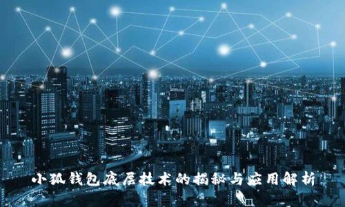 小狐钱包底层技术的揭秘与应用解析