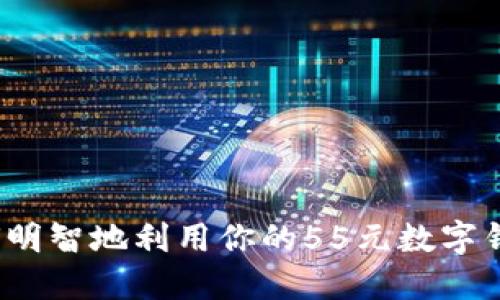 如何明智地利用你的55元数字钱包？