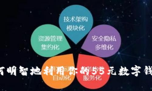 如何明智地利用你的55元数字钱包？